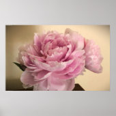 Poster Peony, (Devant)