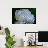 Poster Peony, (Bureau à domicile)