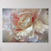 Poster Peony, (Devant)