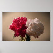 Poster Peony, (Devant)