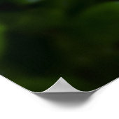 Poster Peony, (Coin)