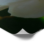 Poster Peony, (Coin)