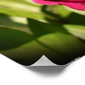 Poster Peony, (Coin)