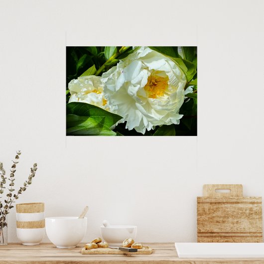 Poster Peony, (Cuisine)