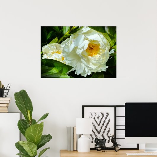 Poster Peony, (Bureau à domicile)