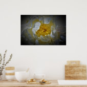 Poster Peony, (Cuisine)