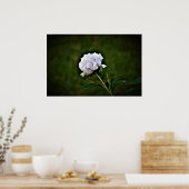 Poster Peony, (Cuisine)