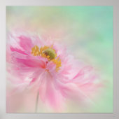 Poster Peony (Devant)