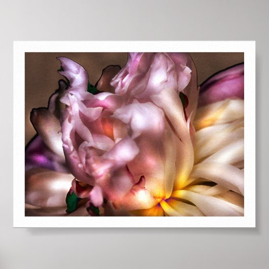 Poster Peony (Devant)