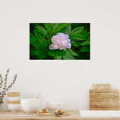 Poster Peony, (Cuisine)