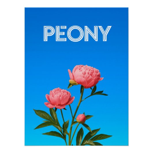 Poster Peony (Devant)