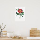 Poster Peony (Cuisine)