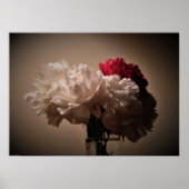 Poster Peony, (Devant)
