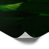 Poster Peony, (Coin)