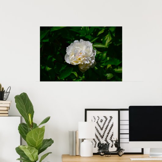 Poster Peony, (Bureau à domicile)