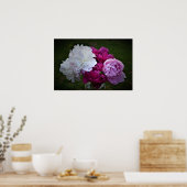 Poster Peony, (Cuisine)
