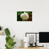 Poster Peony, (Bureau à domicile)