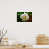 Poster Peony, (Cuisine)