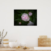 Poster Peony, (Cuisine)