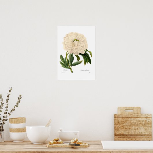 Poster Peony (Cuisine)