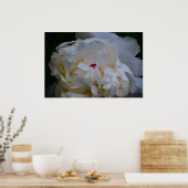 Poster Peony, (Cuisine)