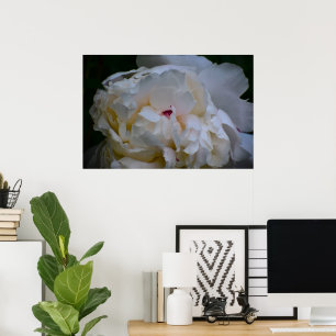Poster Peony,
