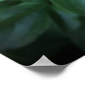 Poster Peony, (Coin)