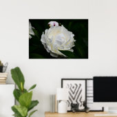 Poster Peony, (Bureau à domicile)