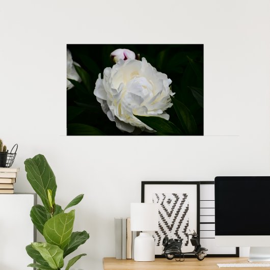 Poster Peony, (Bureau à domicile)