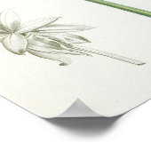 Poster Peony, 1799 (Coin)