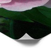 Poster Peony 2 (Coin)