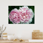 Poster Peony 2 (Cuisine)
