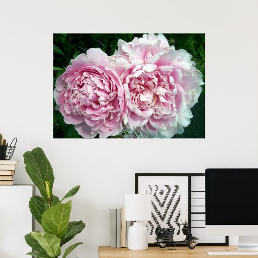 Poster Peony 2 (Bureau à domicile)