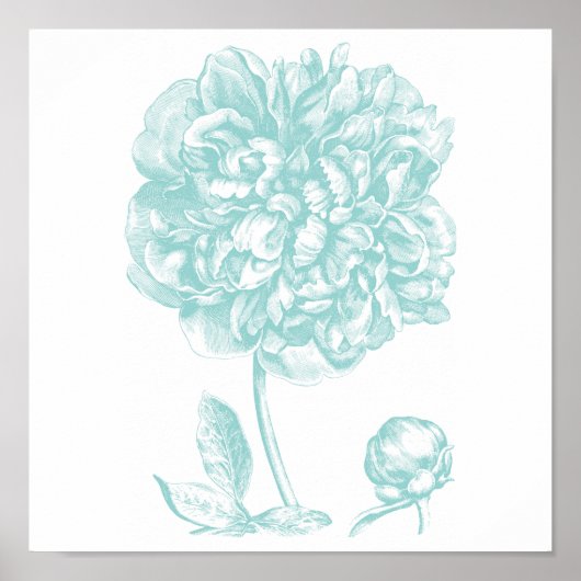 Poster Peony bleu vert (Devant)