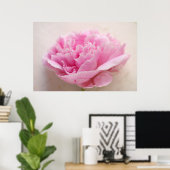 Poster Peony closeup (Bureau à domicile)