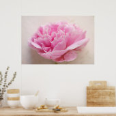 Poster Peony closeup (Cuisine)