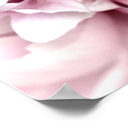Poster Peony en Macro avec Art numérique rose (Coin)