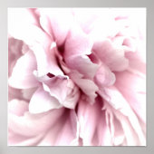 Poster Peony en Macro avec Art numérique rose (Devant)
