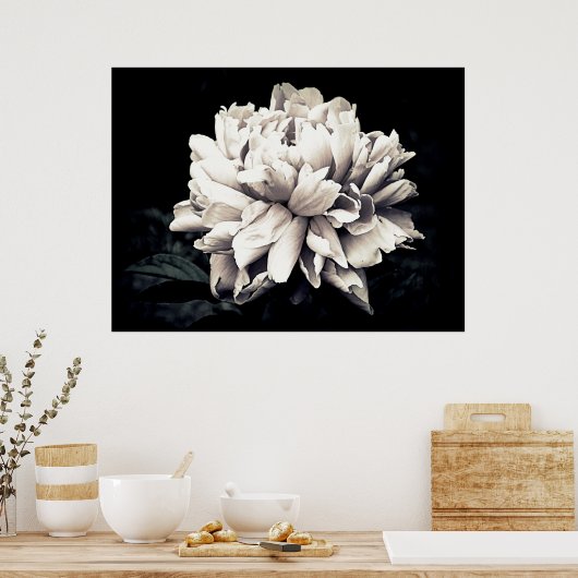 Poster Peony en noir et blanc (Cuisine)