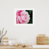 Poster-Peony Flower Poster (Keuken)