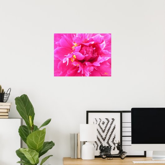 Poster Peony in Bloom (Bureau à domicile)
