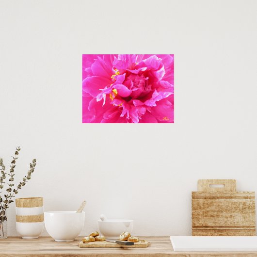 Poster Peony in Bloom (Cuisine)