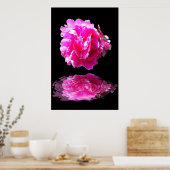 Poster Peony rose (Cuisine)
