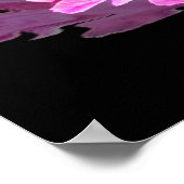 Poster Peony rose (Coin)