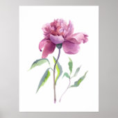 Poster Peony Watercolor Botanical Wall Art (Devant)