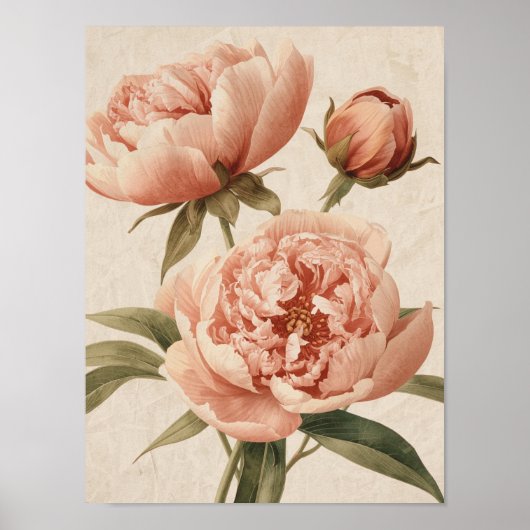 Poster Peony Watercolor Elegance (Devant)