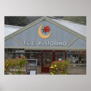 Poster Pépinière aux fleurs