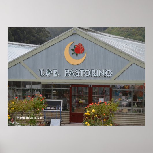 Poster Pépinière aux fleurs (Devant)