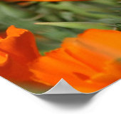 Poster Pépites Galore Imprimer (Coin)