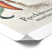 Poster Peppers: 1.Piper Indicum maximum longum; 2.Piper I (Coin)